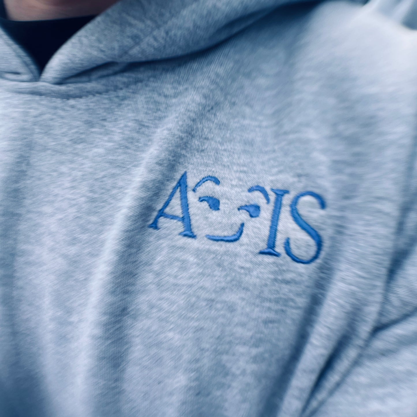 PLEASSURE DEALER HOODIE