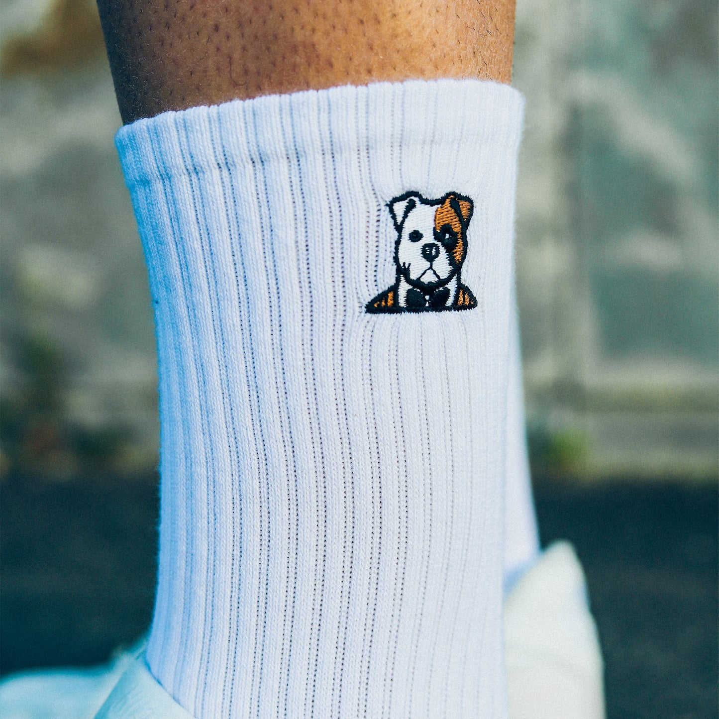 ORIGINALS SOCKS