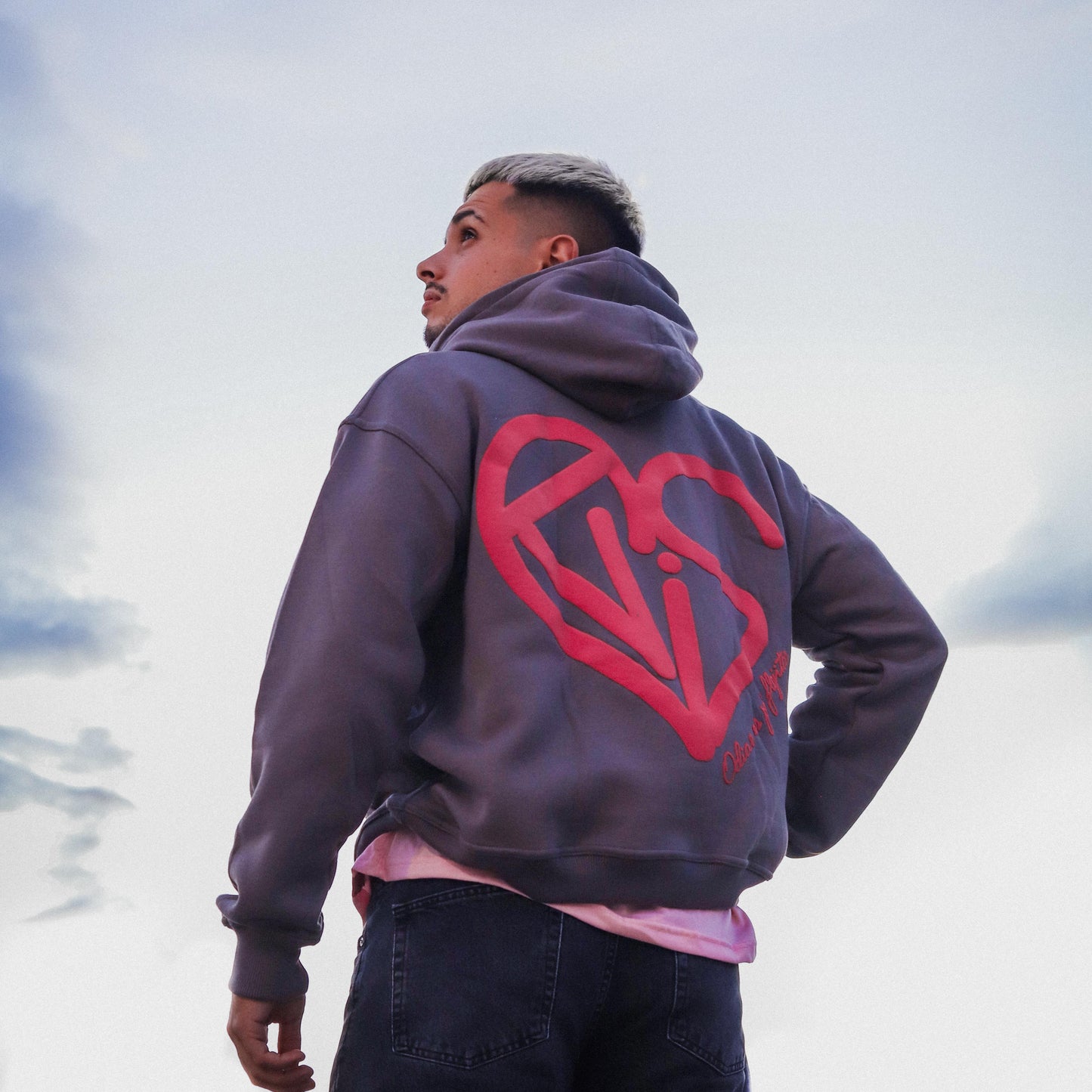 BRAVE LOVE HOODIE GREY