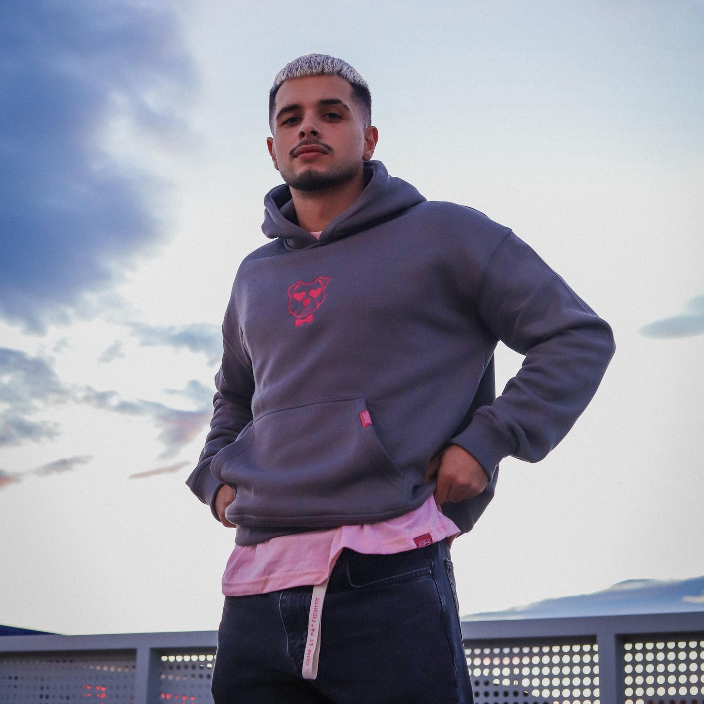 BRAVE LOVE HOODIE GREY